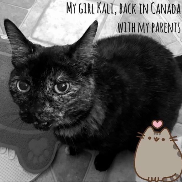 Meet your Posher, Christine - Picture 10 of 16